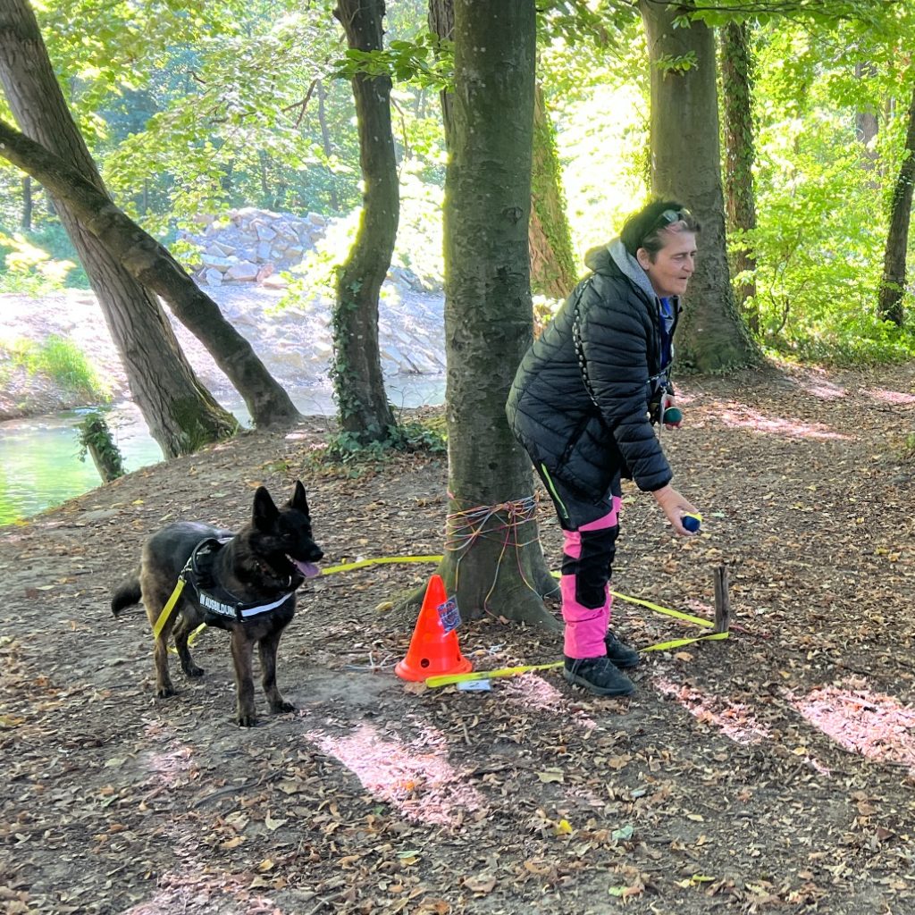 Krimiwanderung mit Hund